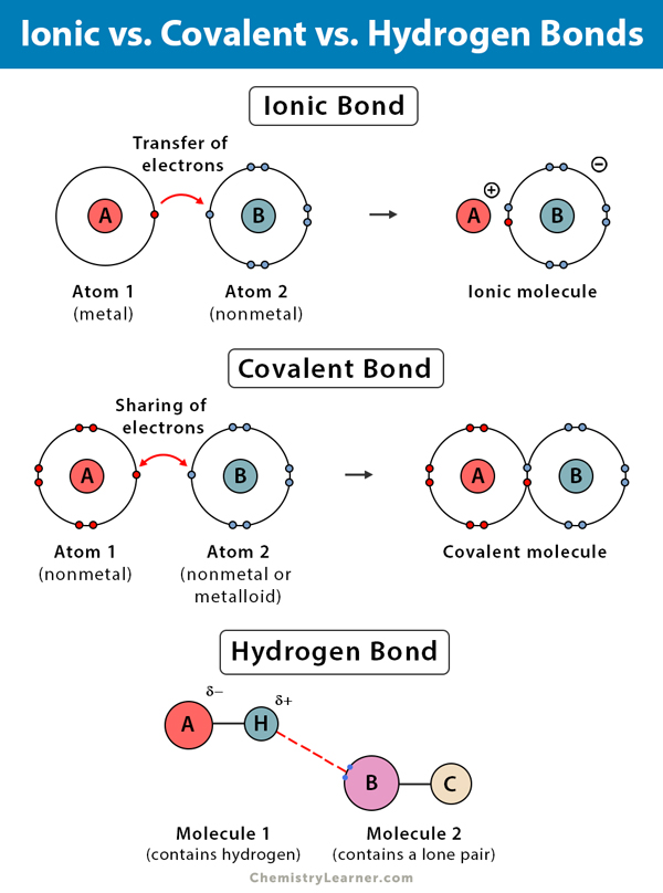 Diagram illustrating ionic, covalent, and hydrogen bonds with descriptions of electron transfer, sharing, and interactions.