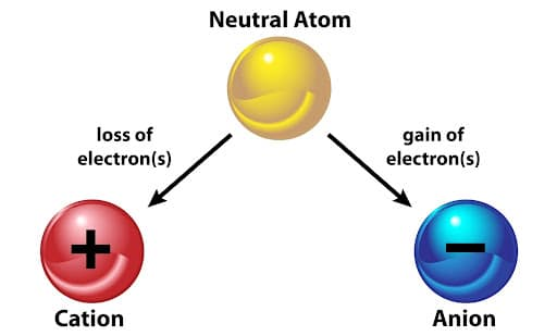 Diagram showing a neutral atom becoming a cation by losing electrons and an anion by gaining electrons.