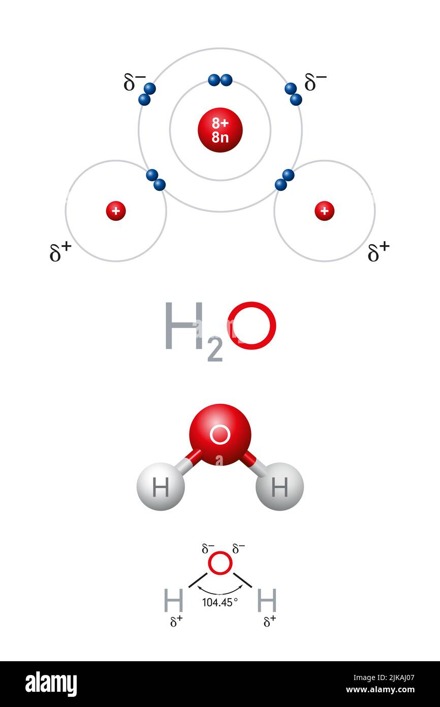 Diagram showing the structure of a water molecule (H2O) including electron distribution and molecular geometry.