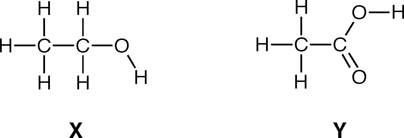 Chemical structures labeled X and Y. Structure X shows a molecule with two carbon atoms bonded to hydrogen atoms and a single oxygen atom (an alcohol group). Structure Y shows a molecule with a carbon atom double bonded to an oxygen atom and single bonded to another oxygen atom with a hydrogen (a carboxylic acid group).