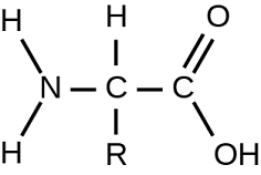 Diagram showing chemical structures of glucose, sucrose, lactose, starch, and dextrin.