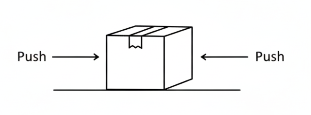 Diagram of a box on a surface with two arrows labeled 'Push' pointing towards it from opposite sides, representing balanced forces.