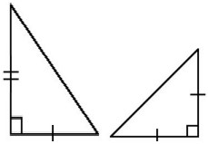 null Two right triangles with one pair of sides marked as equal.