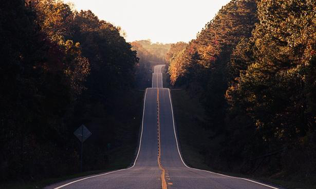 A long, winding road flanked by trees with autumn foliage.