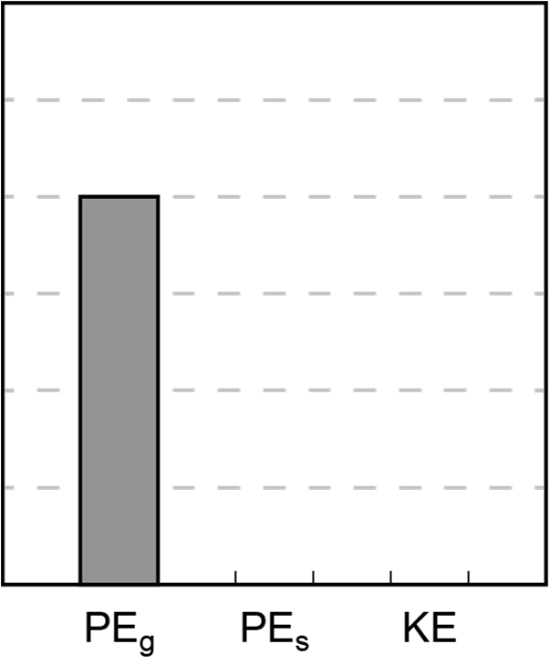 Graph showing a bar for gravitational potential energy (PEg).
