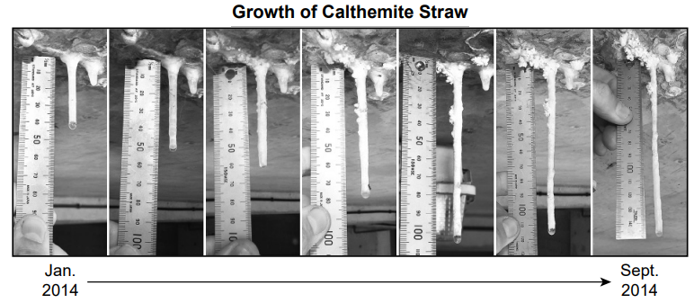 null Series of images showing the growth of a calthemite straw over time, from January 2014 to September 2014, measured with a ruler.