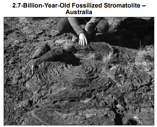 null 2.7-Billion-Year-Old Fossilized Stromatolite in Australia with a person touching it.