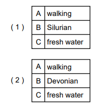 null Two small tables, each with three rows labeled A to C. Details include walking, Silurian, fresh water, and Devonian.