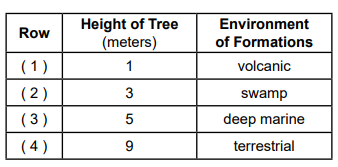null Table showing the height of trees in meters and the environment of formations, including volcanic, swamp, deep marine, and terrestrial.