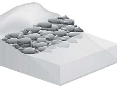 Sills shoreline diagram