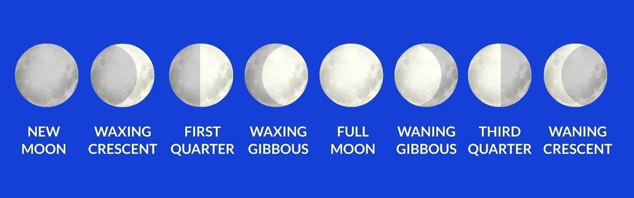 Labeled images of the eight phases of the Moon: new moon, waxing crescent, first quarter, waxing gibbous, full moon, waning gibbous, third quarter, waning crescent.