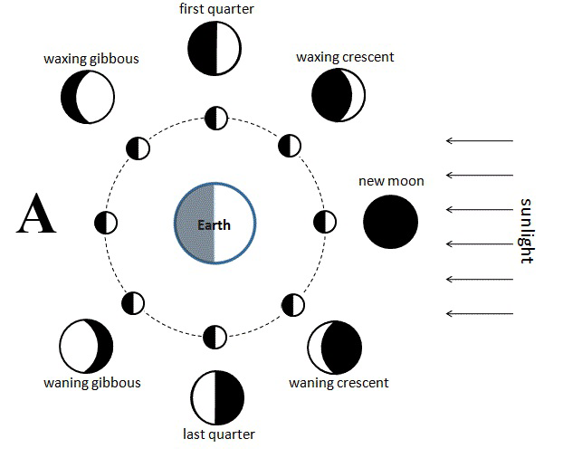 Diagram showing the Moon orbiting Earth with positions labeled new moon, waxing crescent, first quarter, waxing gibbous, full moon, waning gibbous, last quarter, and waning crescent. Arrows on the right indicate the direction of sunlight.