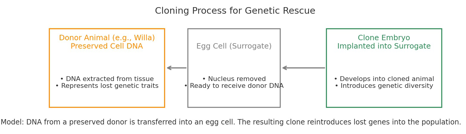 Diagram titled "Cloning Process for Genetic Rescue" showing DNA from a preserved donor animal transferred into an egg cell surrogate to create a clone embryo implanted into a surrogate.