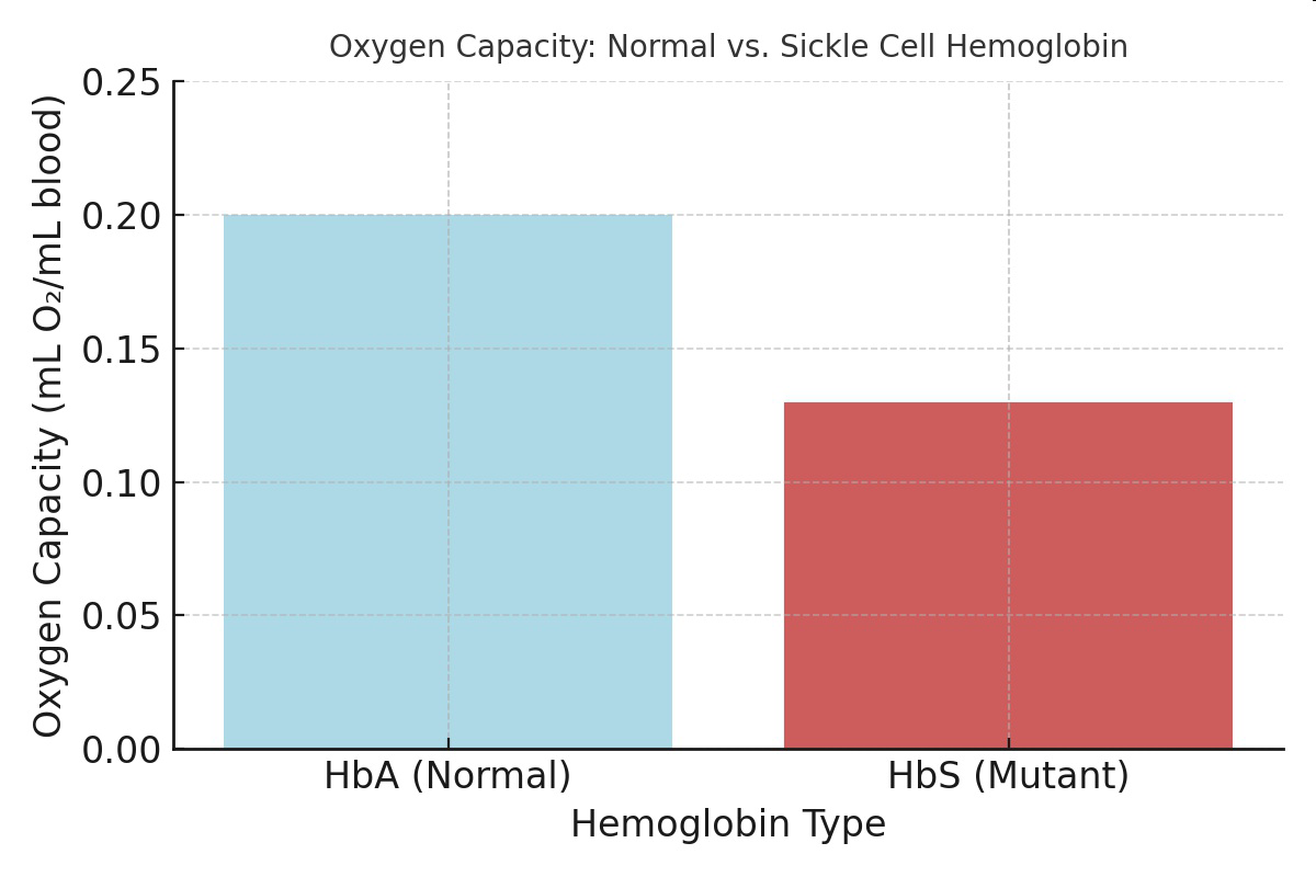 Bar graph comparing oxygen capacity of HbA (normal) and HbS (mutant) hemoglobin types.