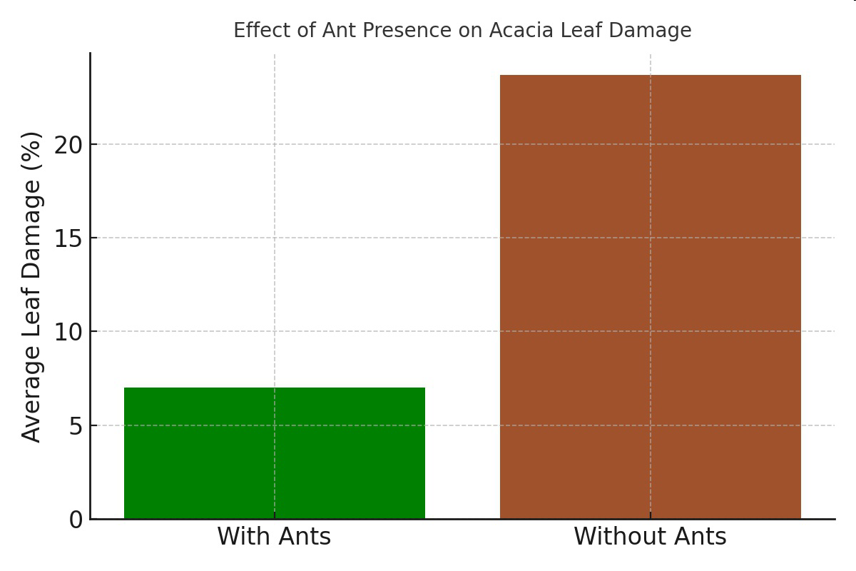 Bar graph titled 'Effect of Ant Presence on Acacia Leaf Damage' showing higher average leaf damage without ants than with ants.