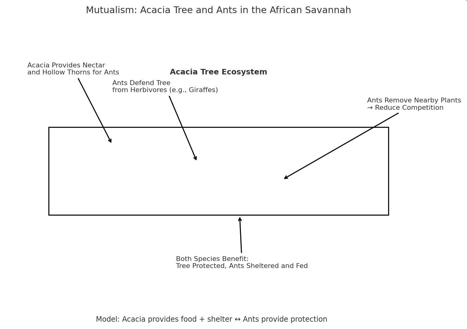 Diagram of an Acacia Tree Ecosystem showing mutualism between acacia trees and ants in the African savannah.