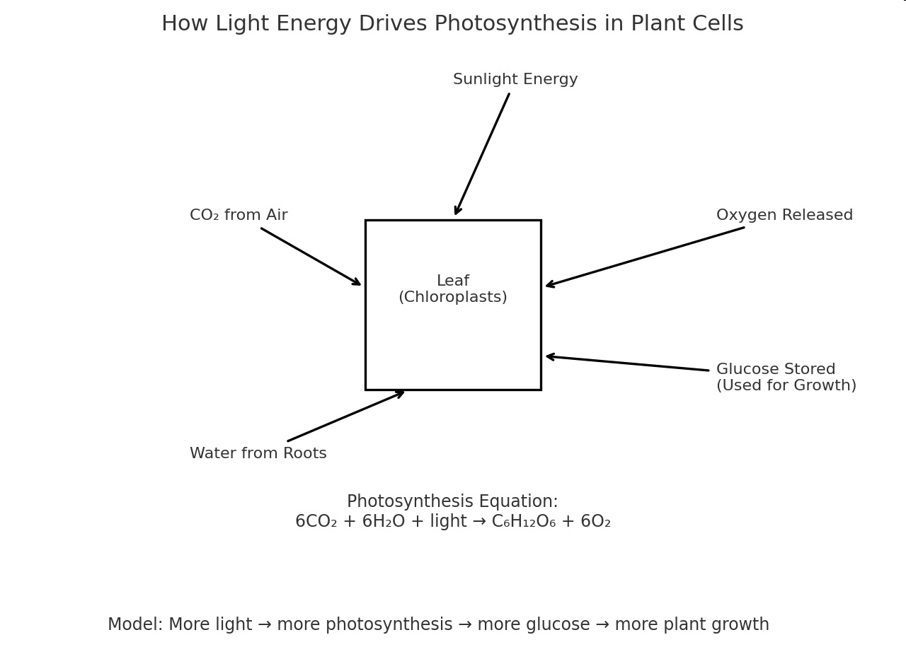 Diagram showing how light energy drives photosynthesis in plant cells