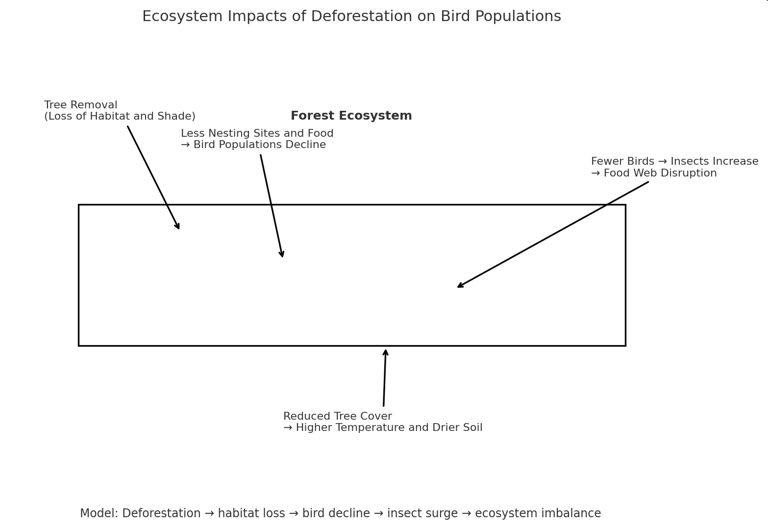Diagram titled 'Ecosystem Impacts of Deforestation on Bird Populations' showing a forest ecosystem box with arrows indicating tree removal, reduced tree cover, fewer birds, bird population decline, insect increase, and food web disruption.