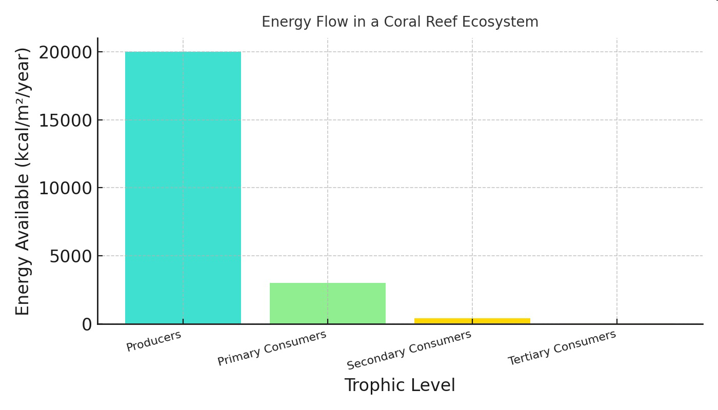 Bar graph titled 'Energy Flow in a Coral Reef Ecosystem' showing energy available at different trophic levels: Producers, Primary Consumers, Secondary Consumers, and Tertiary Consumers.
