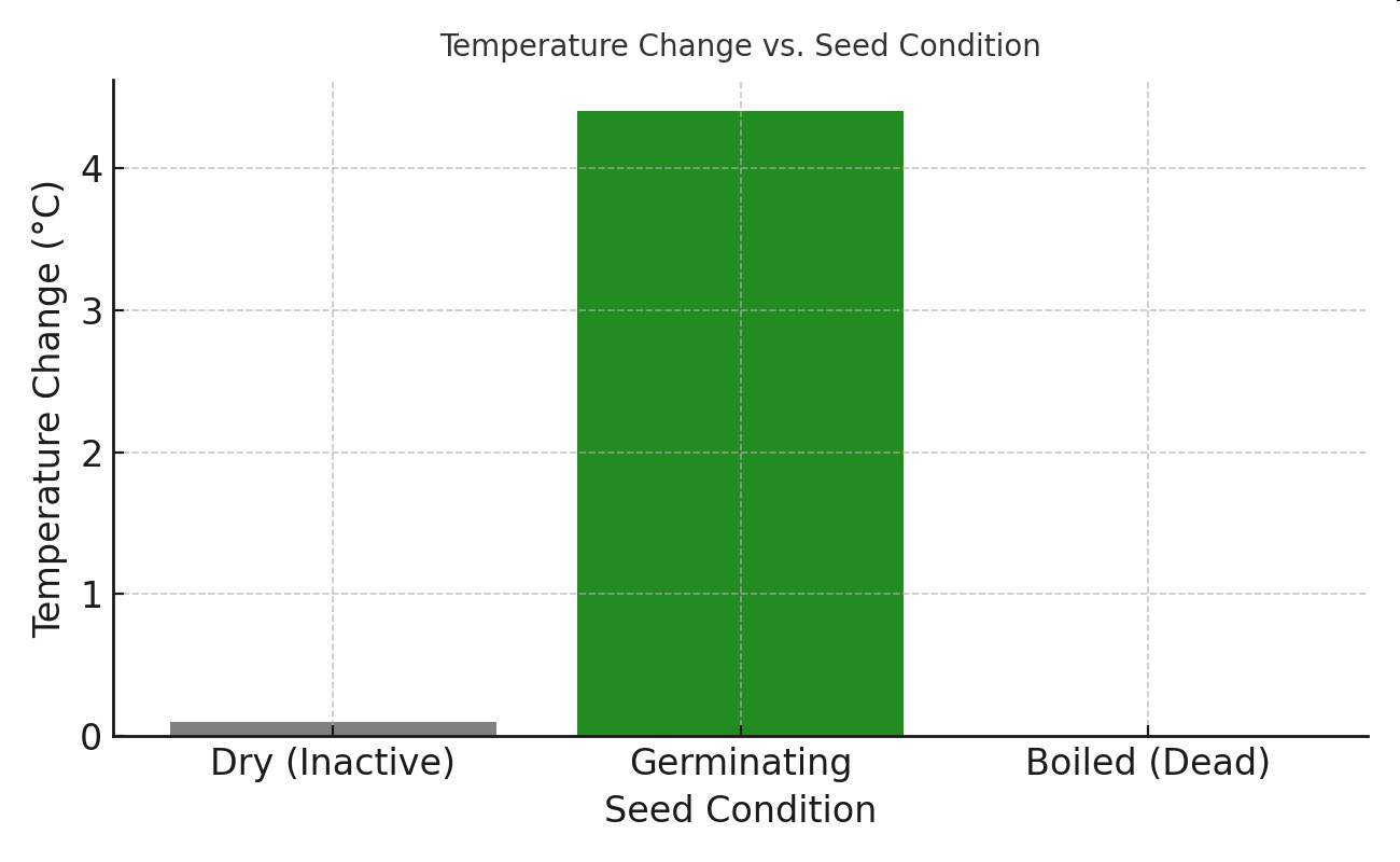 Bar graph titled 'Temperature Change vs. Seed Condition' comparing temperature change for dry (inactive), germinating, and boiled (dead) seeds.