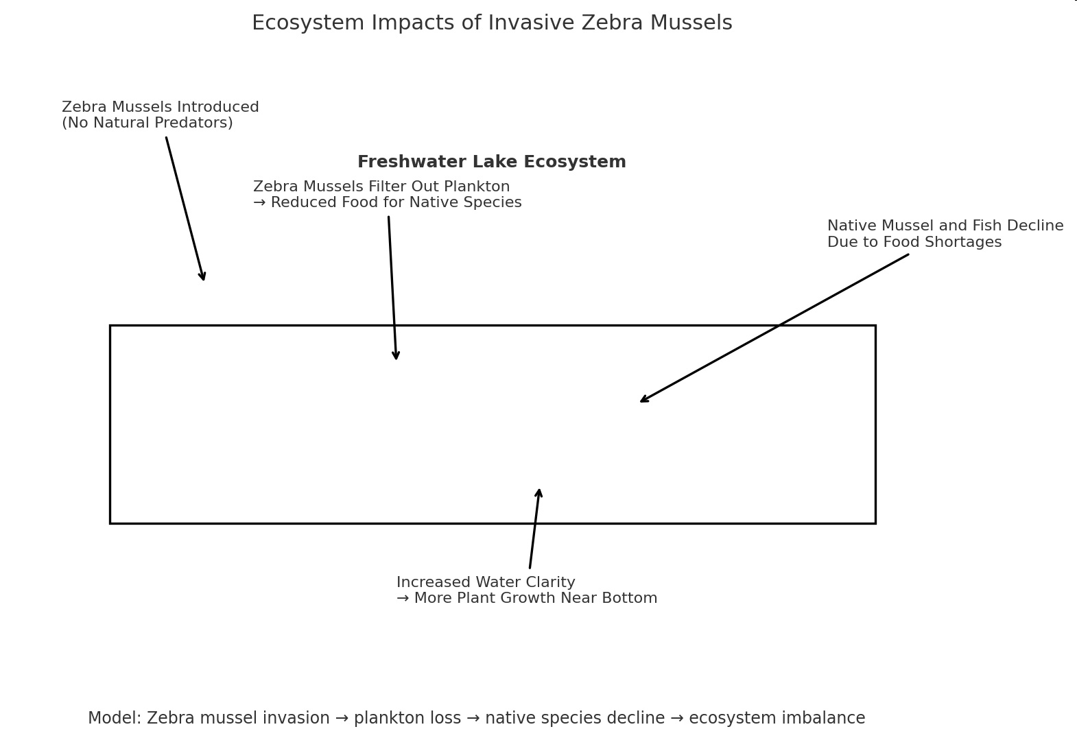 null Diagram showing ecosystem impacts of invasive zebra mussels in a freshwater lake ecosystem.