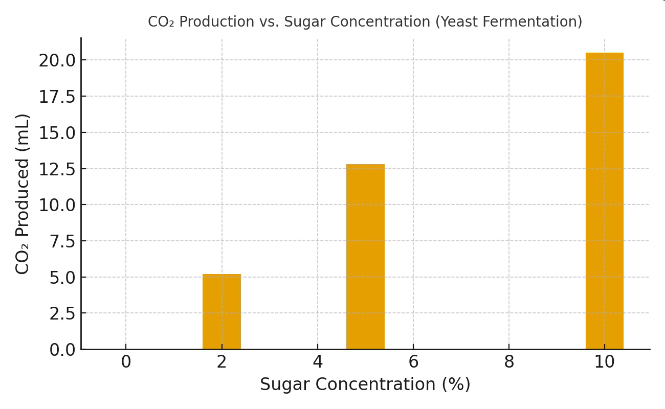 null Graph of CO2 Production vs. Sugar Concentration (Yeast Fermentation)