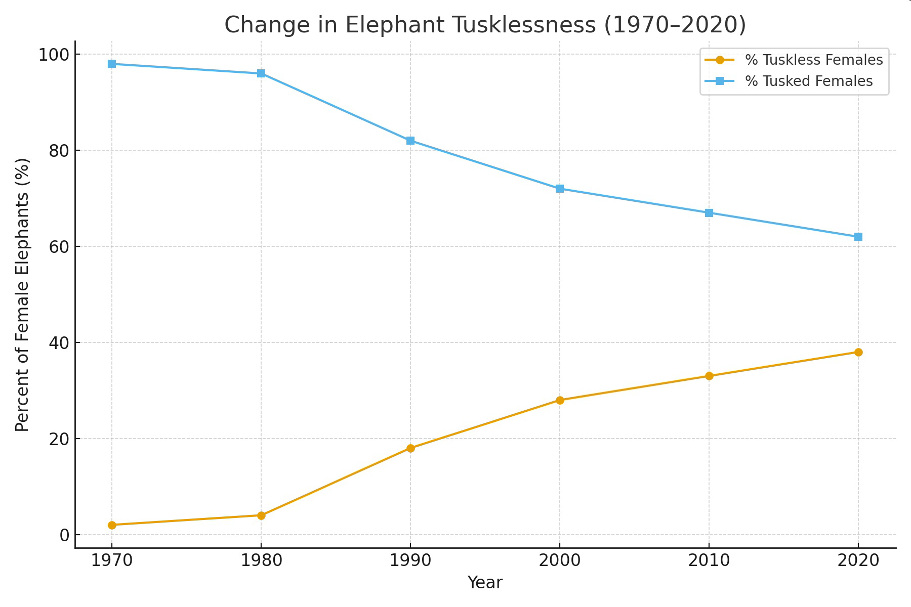 Graph titled 'Change in Elephant Tusklessness (1970–2020)' showing percent of tuskless and tusked female elephants over time.