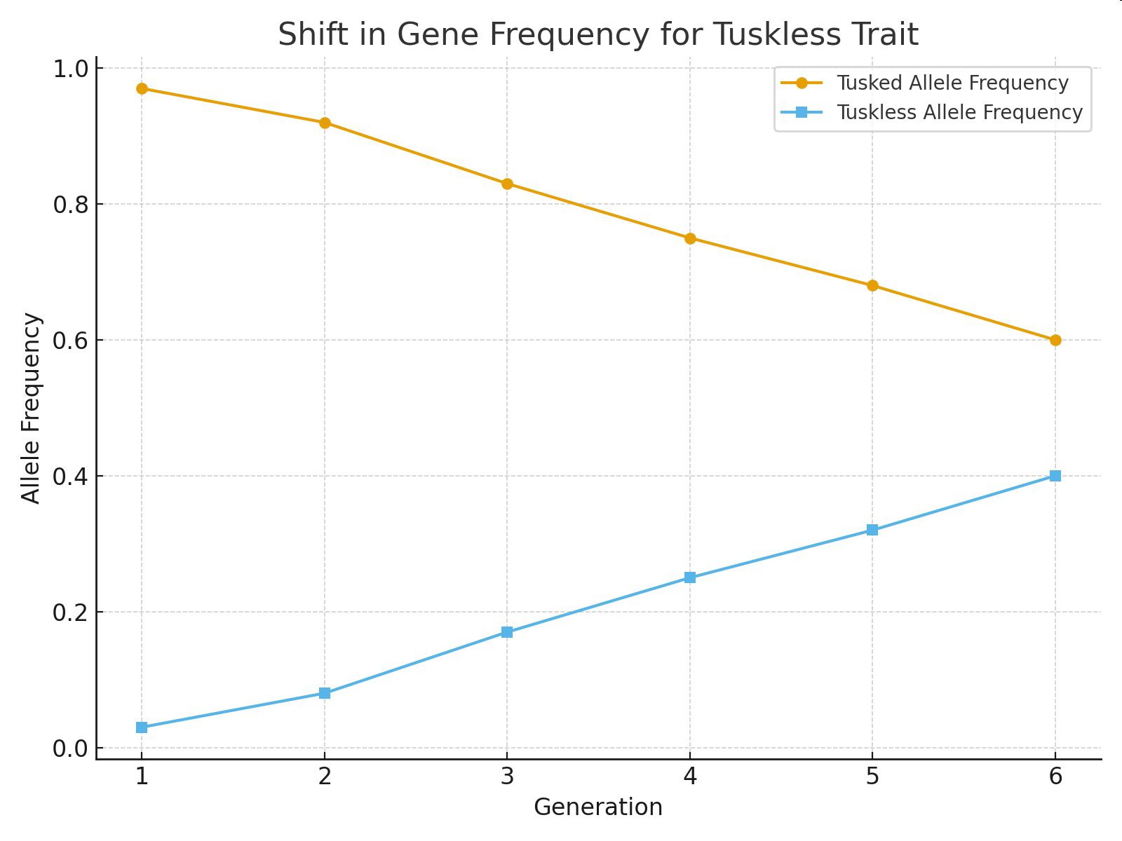 Shift in gene frequency for tuskless trait showing tusked and tuskless allele frequencies over six generations