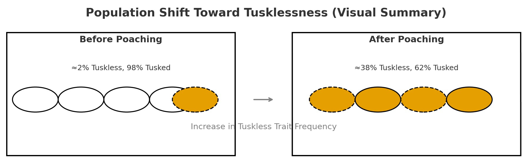 Visual summary titled Population Shift Toward Tusklessness showing proportions of tusked and tuskless elephants before and after poaching.