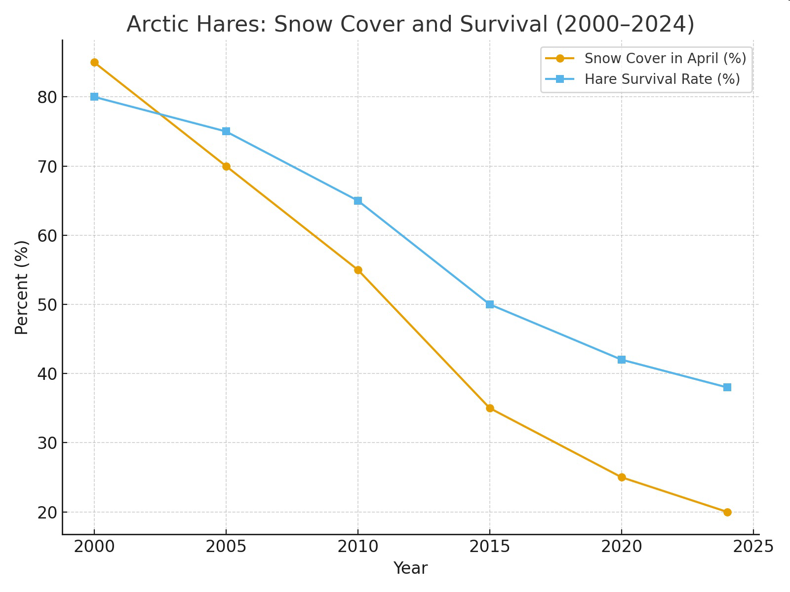 Line graph titled 'Arctic Hares: Snow Cover and Survival (2000–2024)' showing percent snow cover in April and hare survival rate by year from 2000 to 2024.
