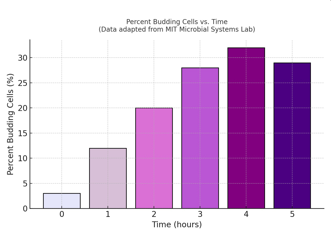 Graph of percent budding cells versus time