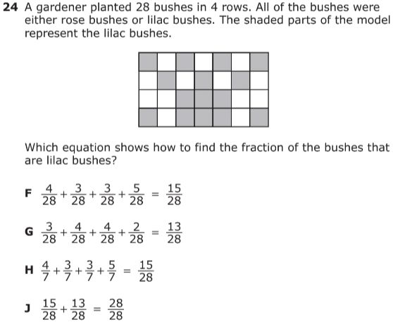 null Problem 24 about representing bushes as a fraction using a shaded strip diagram with multiple-choice equations.