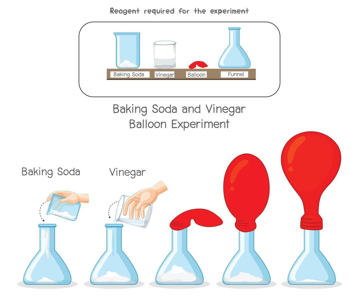 Baking soda and vinegar balloon experiment showing reagents and steps of the reaction