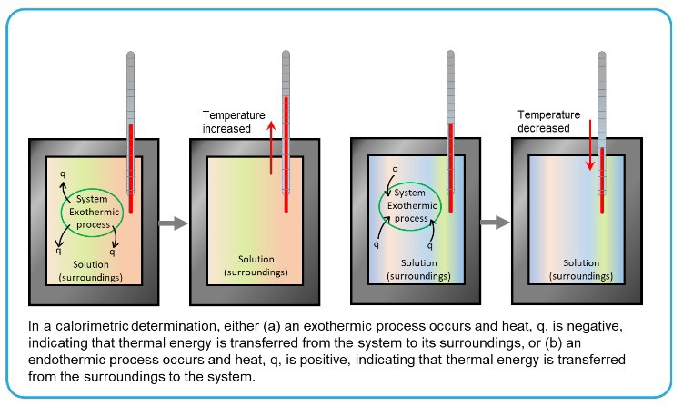 Diagram showing fundamentals of a calorimeter and exothermic versus endothermic processes