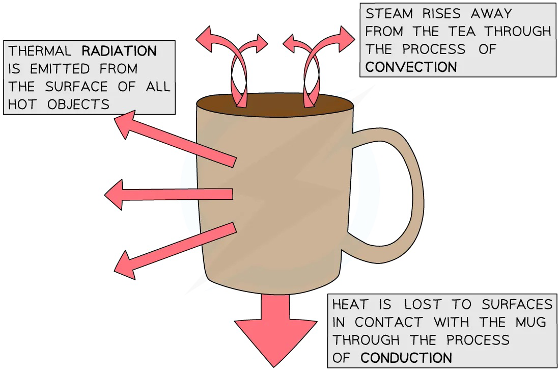 Diagram of a mug showing thermal radiation from the surface, convection of steam rising, and conduction of heat to surfaces in contact with the mug.