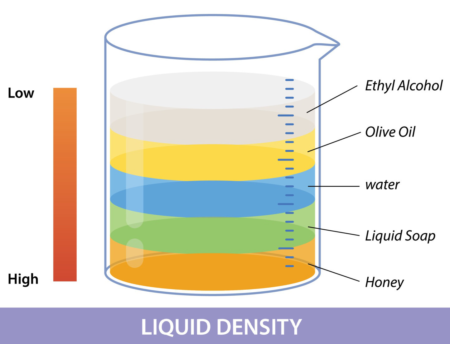 Diagram of a beaker showing layers of liquids of different densities: ethyl alcohol, olive oil, water, liquid soap, and honey from top to bottom, and a scale from low to high density.