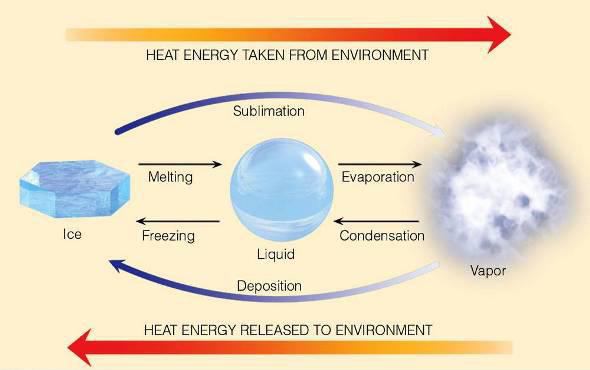 Diagram showing phase changes between ice, liquid, and vapor with arrows indicating heat energy taken from and released to the environment.