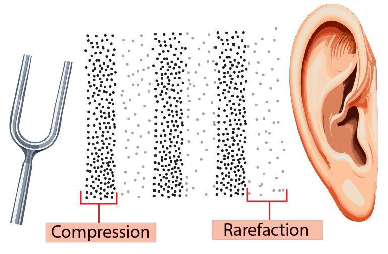 Diagram showing a tuning fork creating compressions and rarefactions that travel to an ear.