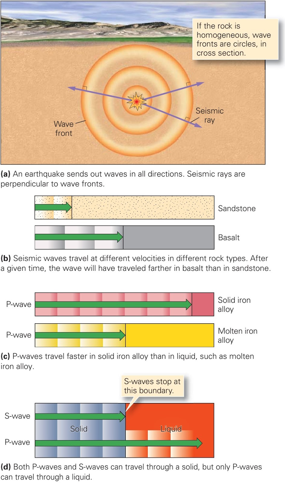 Diagram showing how seismic waves travel through different materials