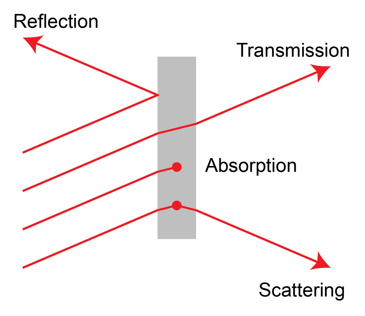 Diagram showing reflection, transmission, absorption, and scattering of waves as they encounter a material.