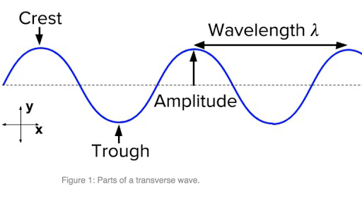 Parts of a transverse wave showing crest, trough, amplitude, and wavelength.
