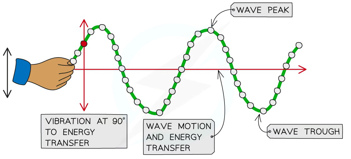 Diagram of a transverse wave on a rope showing vibration at 90 degrees to energy transfer, wave motion and energy transfer, wave peak, and wave trough.