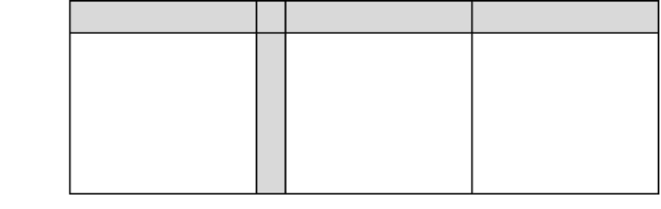 Blank rectangle model