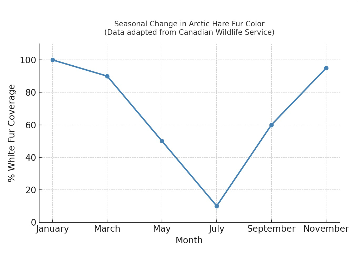 Seasonal Change in Arctic Hare Fur Color graph showing percent white fur coverage by month.