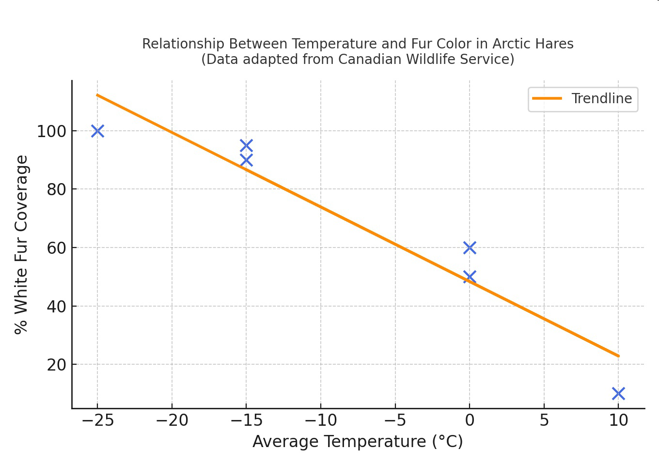 Relationship Between Temperature and Fur Color in Arctic Hares graph showing percent white fur coverage versus average temperature with a trendline.