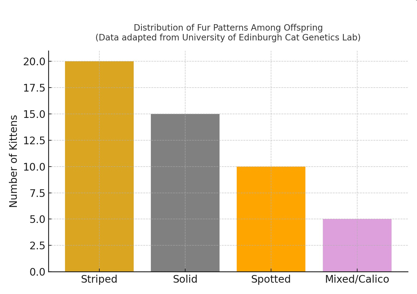 Bar graph showing the distribution of fur patterns among kittens: 20 striped, 15 solid, 10 spotted, and 5 mixed/calico.