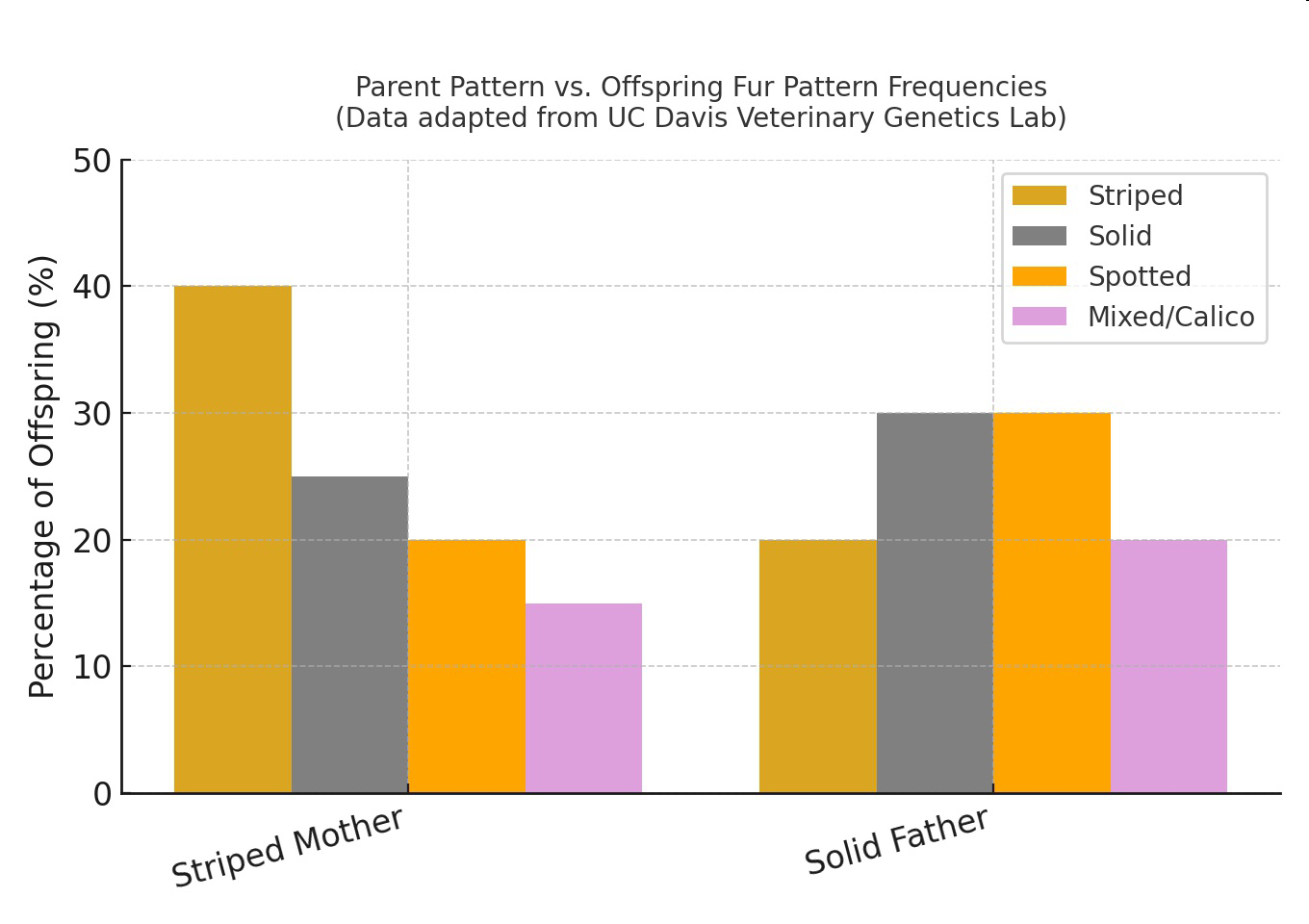 Bar graph showing percentages of offspring fur patterns (Striped, Solid, Spotted, Mixed/Calico) from striped mothers and solid fathers.