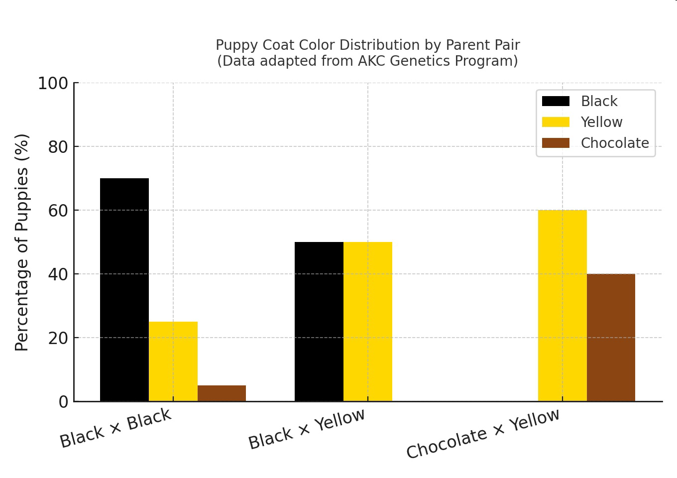 Bar graph titled 'Puppy Coat Color Distribution by Parent Pair (Data adapted from AKC Genetics Program)' showing percentages of black, yellow, and chocolate puppies for each parent pair.