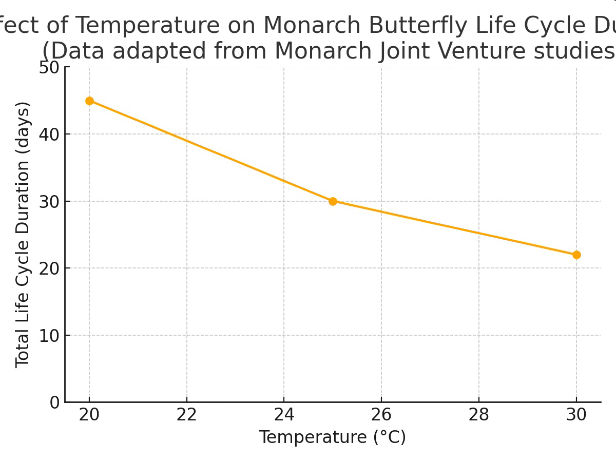 Effect of temperature on Monarch butterfly total life cycle duration