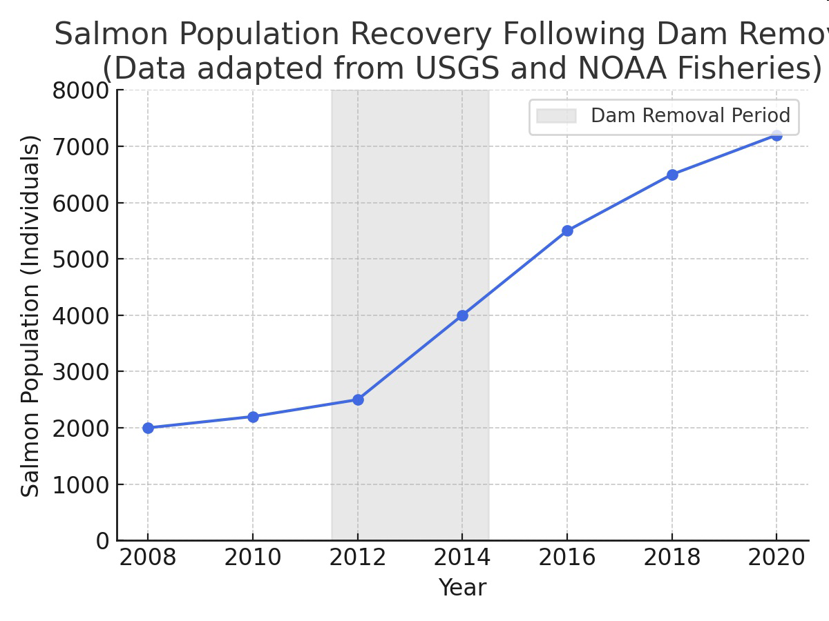 null Line graph titled 'Salmon Population Recovery Following Dam Removal (Data adapted from USGS and NOAA Fisheries)' showing salmon population increasing from 2000 individuals in 2008 to 7200 individuals in 2020, with a shaded region labeled 'Dam Removal Period' between about 2011 and 2015.